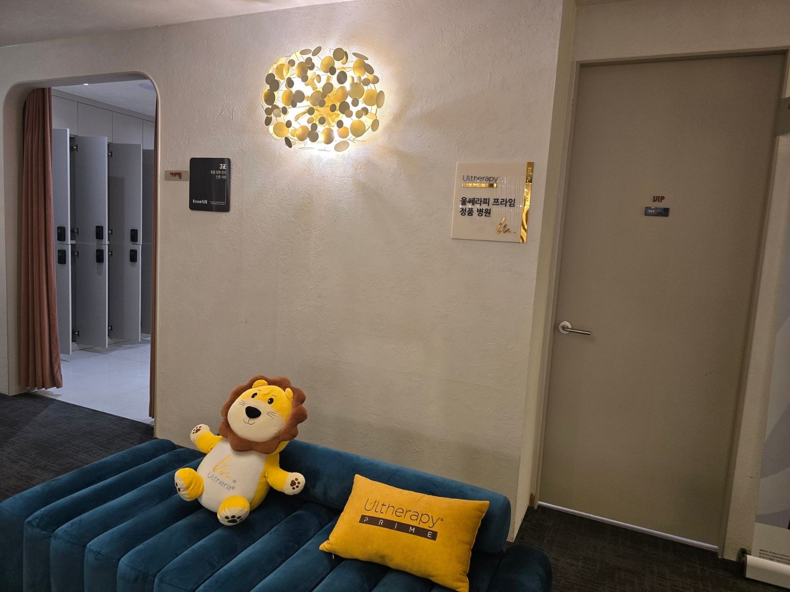 Entrée VIP et plaque Ultherapy PRIME · Toxnfill Konkuk
